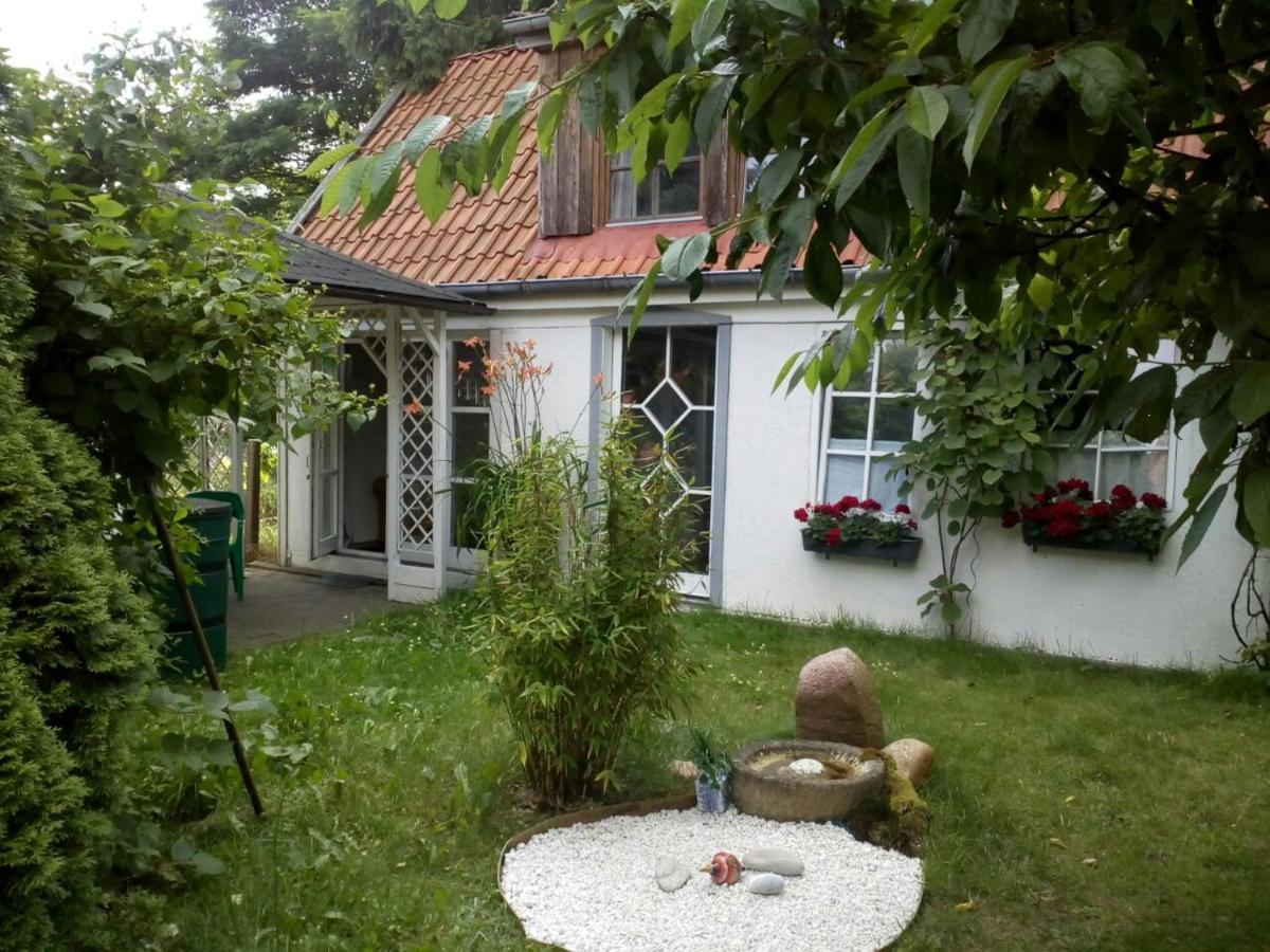 Zum Kaffeehandler Хитцаккер Экстерьер фото